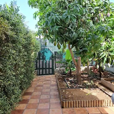 Apartamento El Caserio De Merengue *